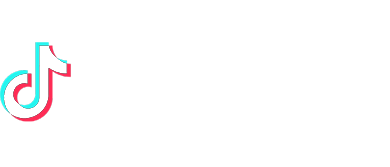 tiktok partner 2